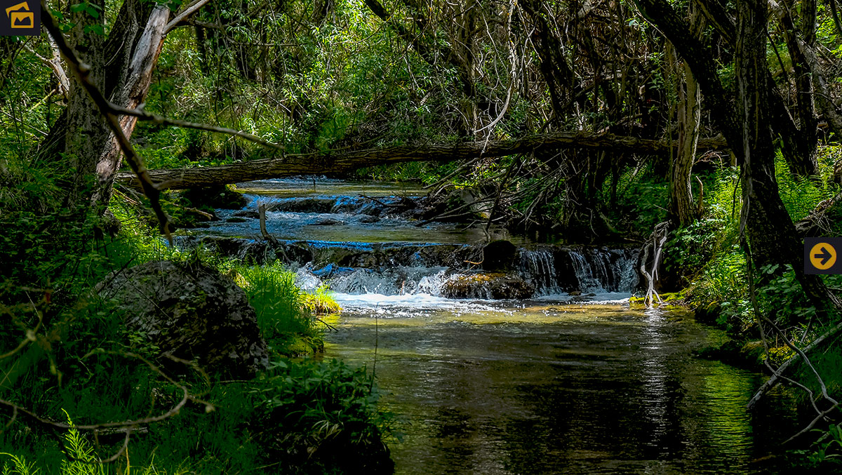 Biodiversidad y desafíos de la ecología acuática del río Aguas Blancas